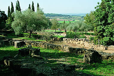 Ciudad &iacute;bera del Puig Sant Andreu (Ullastret)